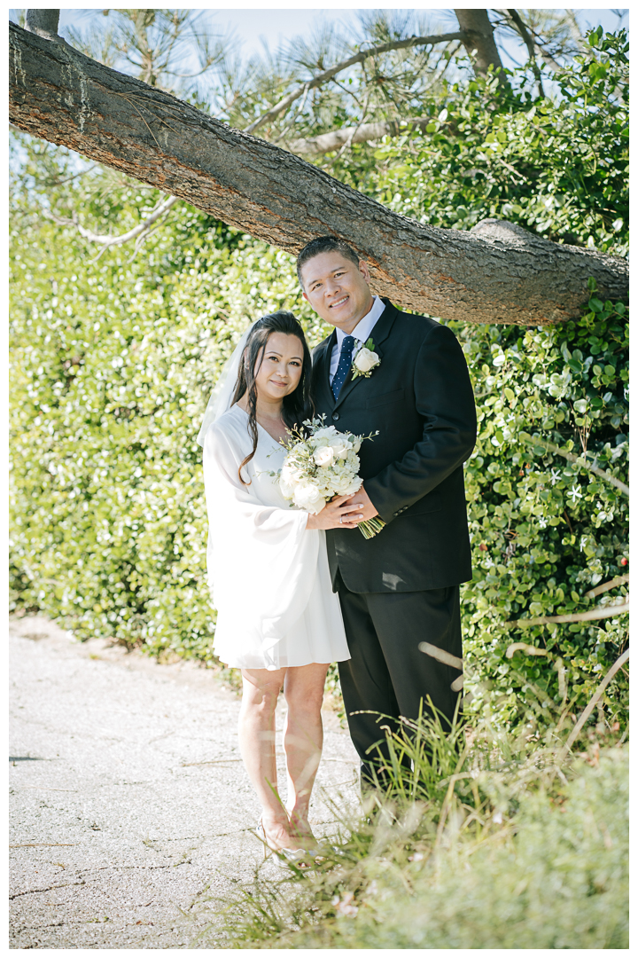 Intimate Wedding Ceremony at Roessler Point, Palos Verdes, California