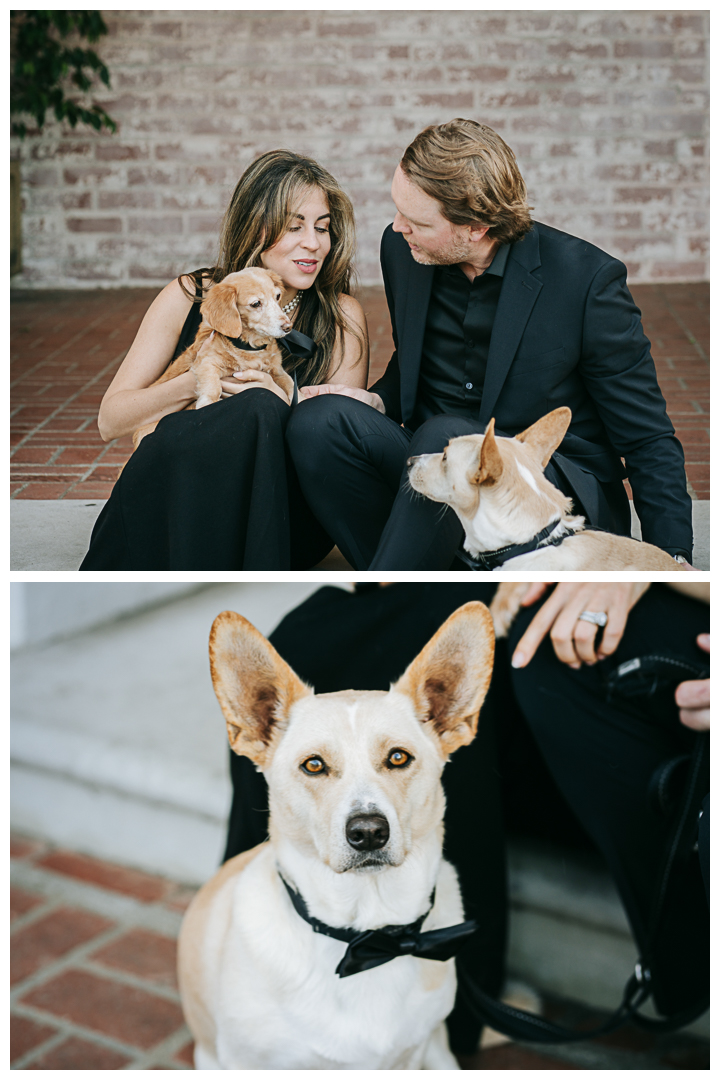 10 Years Wedding Anniversary Couples Portraits at Malaga Cove Plaza in Palos Verdes