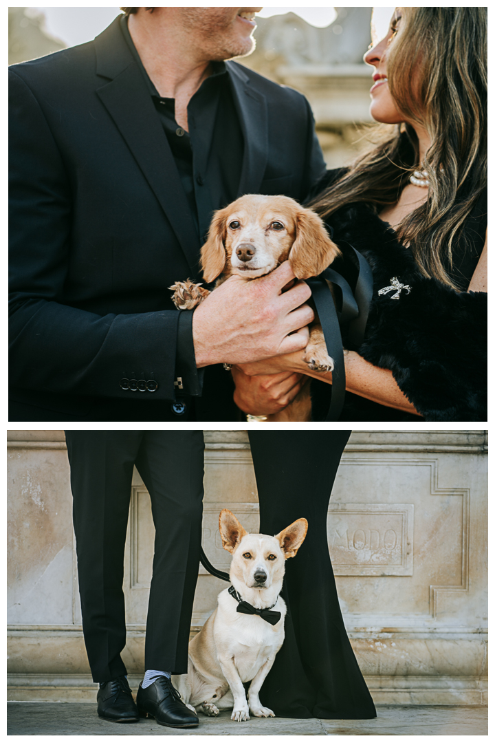 10 Years Wedding Anniversary Couples Portraits at Malaga Cove Plaza in Palos Verdes