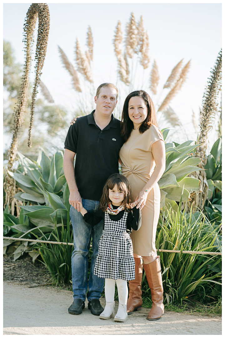 Holiday Mini Session for Family Photos at Santa Monica, Los Angeles, California