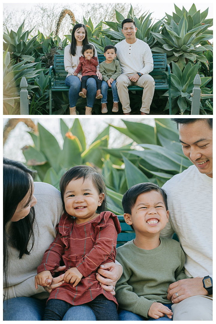 Holiday Mini Session for Family Photos at Santa Monica, Los Angeles, California