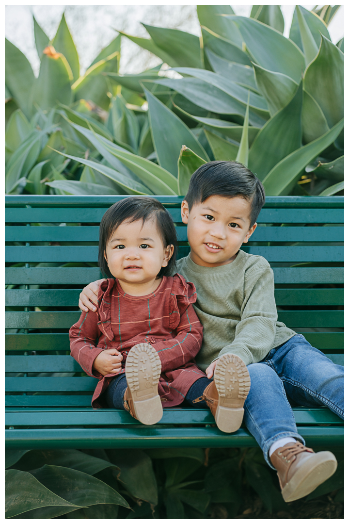 Holiday Mini Session for Family Photos at Santa Monica, Los Angeles, California