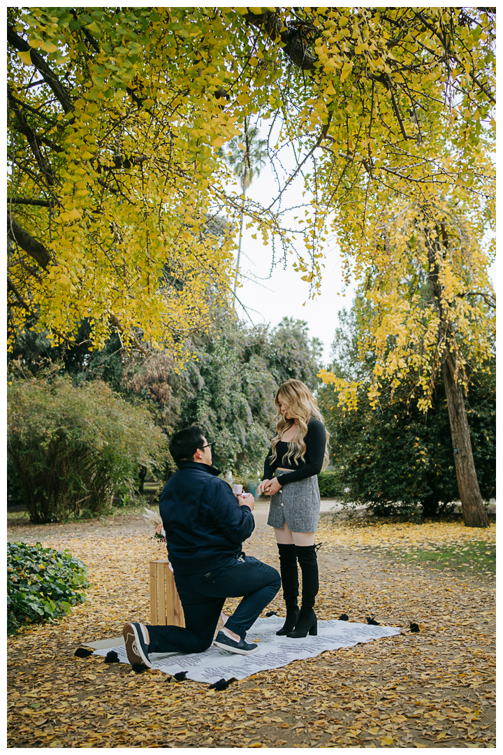 Surprise Proposal at Los Angeles County Arboretum in Arcadia, California