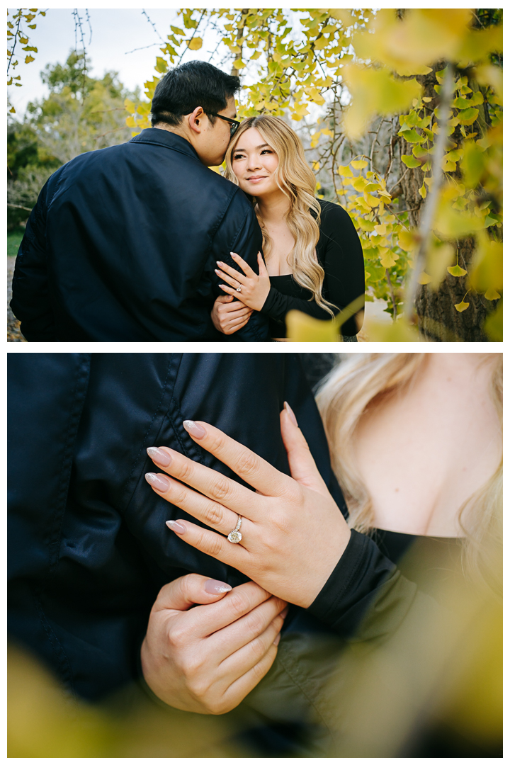 Surprise Proposal at Los Angeles County Arboretum in Arcadia, California