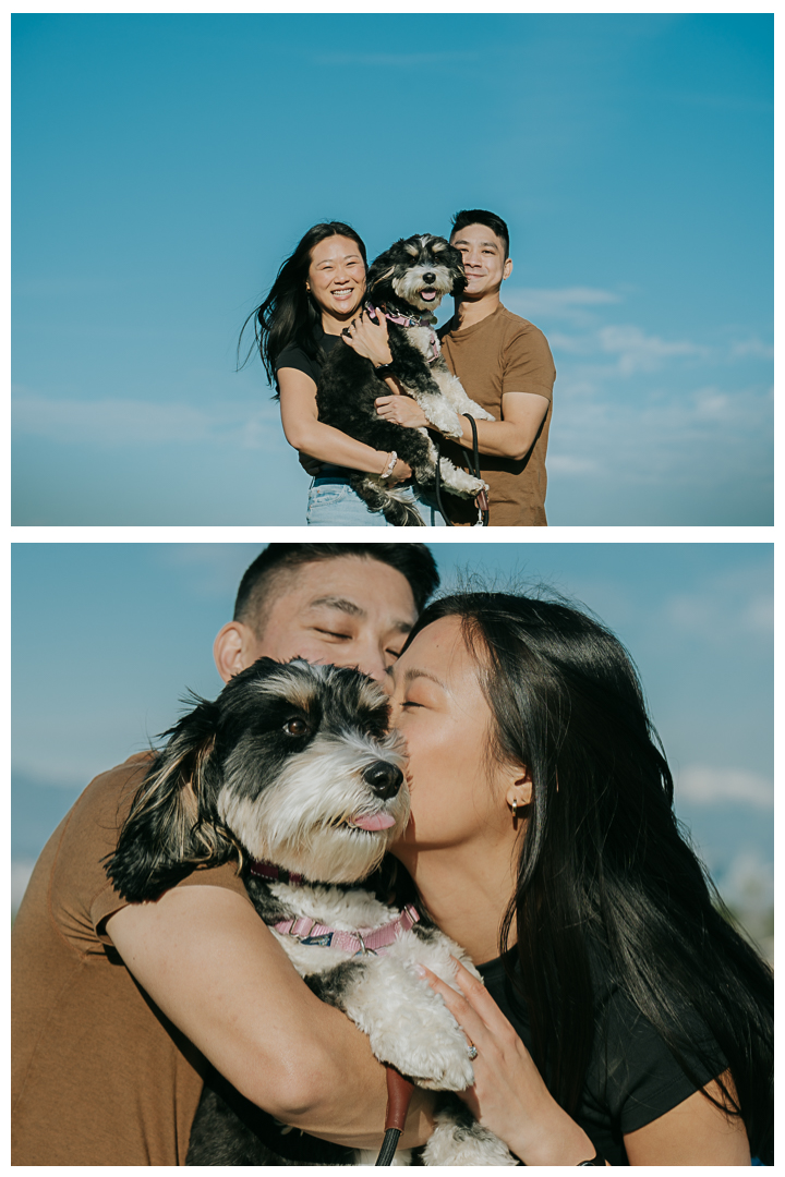 Surprise Marriage Proposal at Kennth Hahn Recreational Park in Los Angeles, California