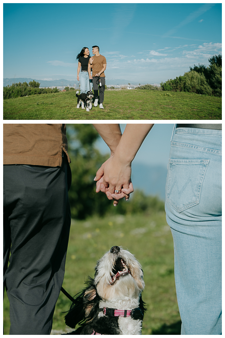 Surprise Marriage Proposal at Kennth Hahn Recreational Park in Los Angeles, California