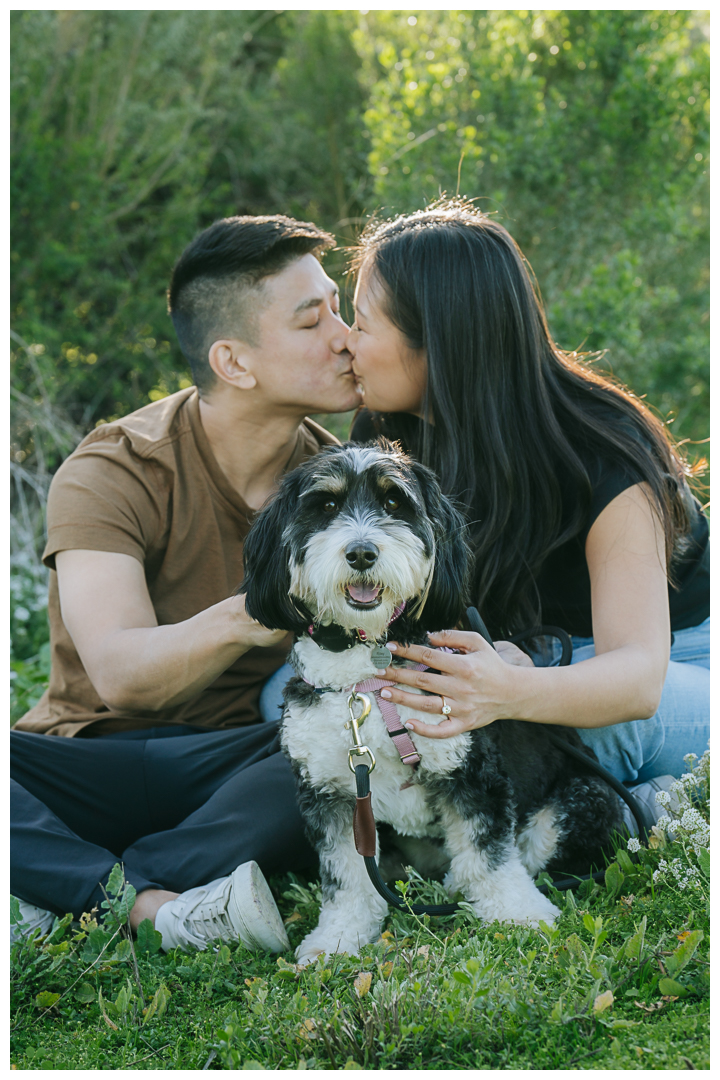 Surprise Marriage Proposal at Kennth Hahn Recreational Park in Los Angeles, California