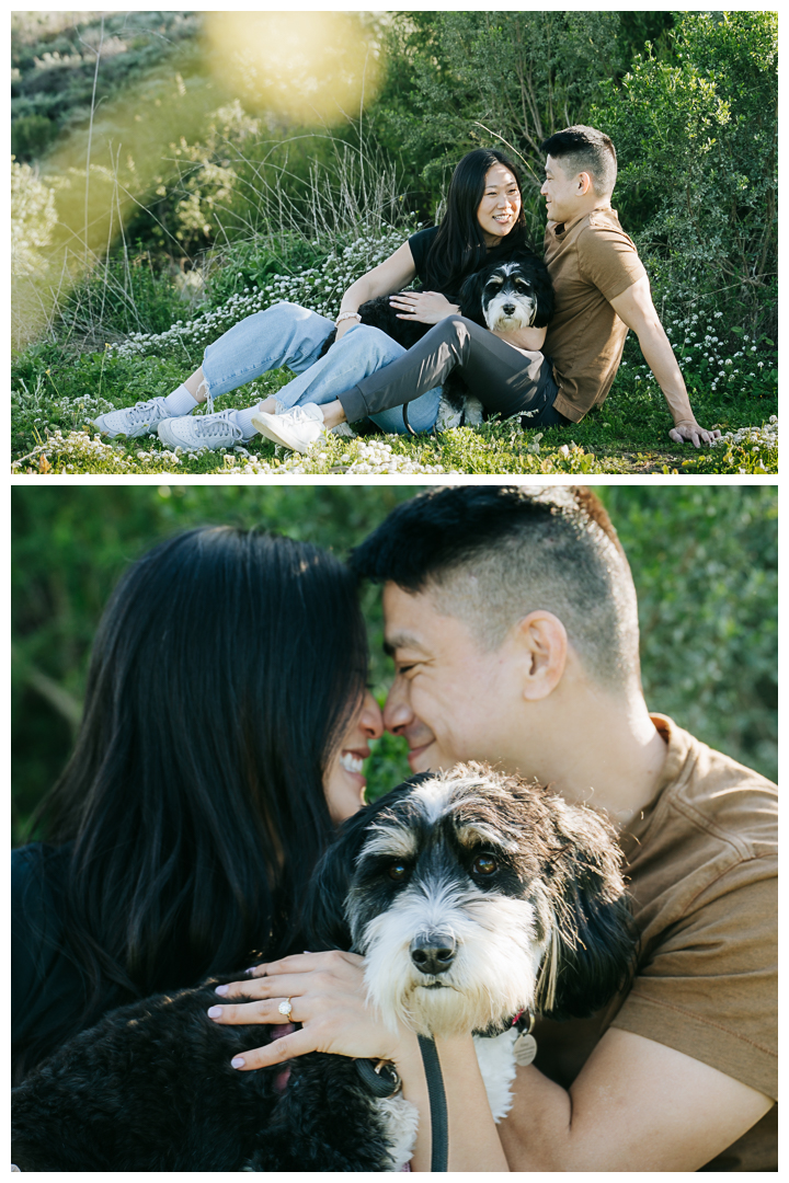 Surprise Marriage Proposal at Kennth Hahn Recreational Park in Los Angeles, California