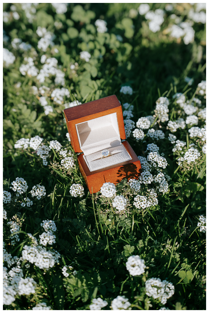 Surprise Marriage Proposal at Kennth Hahn Recreational Park in Los Angeles, California