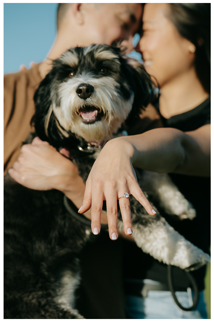 Surprise Marriage Proposal at Kennth Hahn Recreational Park in Los Angeles, California