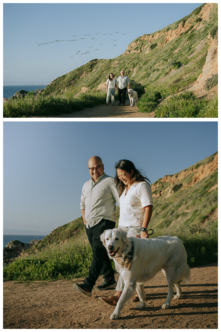 Couples Photos by the sea in Palos Verdes California | Stephanie Ip Photography