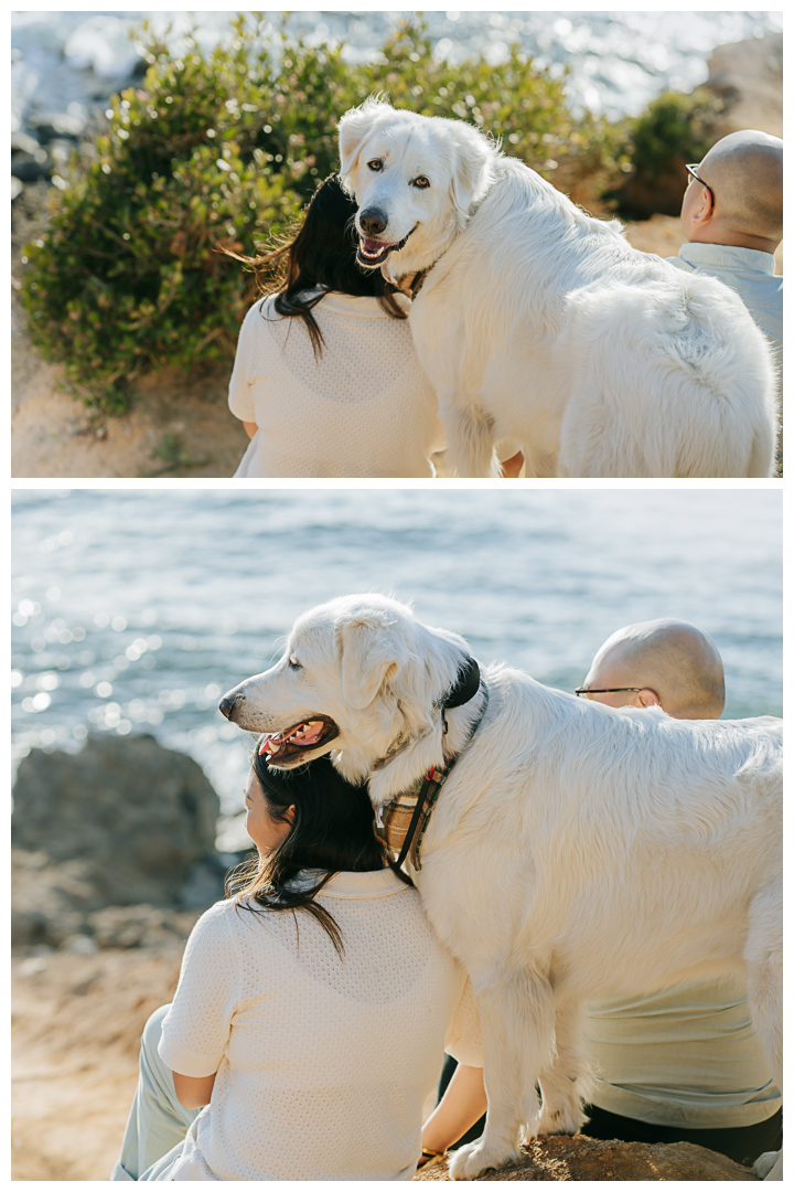 Couples Photos by the sea in Palos Verdes California | Stephanie Ip Photography