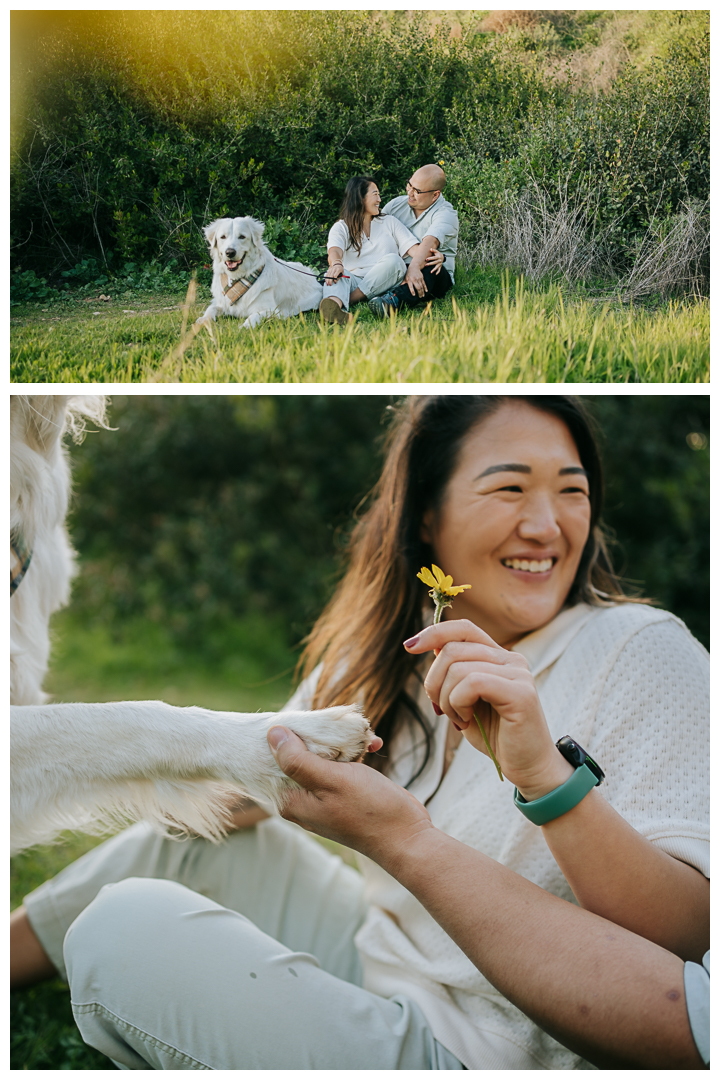 Couples Photos by the sea in Palos Verdes California | Stephanie Ip Photography