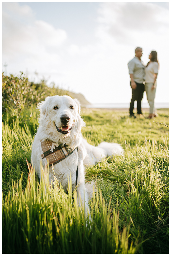 Couples Photos by the sea in Palos Verdes California | Stephanie Ip Photography