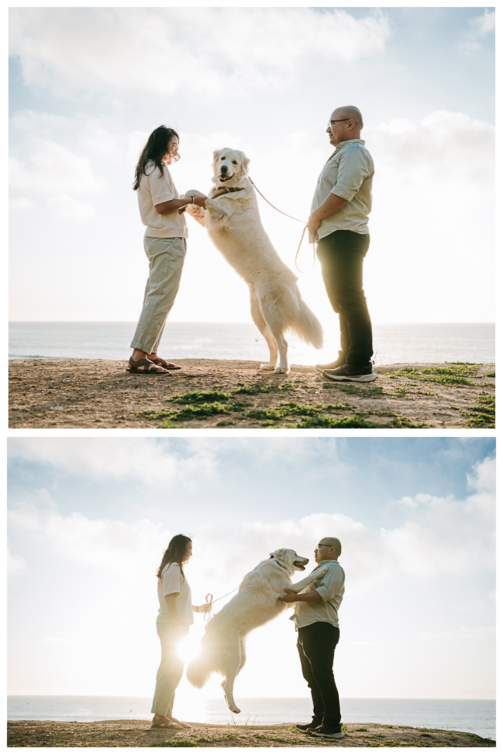 Couples Photos by the sea in Palos Verdes California | Stephanie Ip Photography