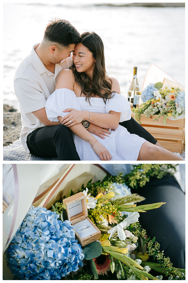 Laguna Beach Romantic Surprise Proposal at Treasure Island Beach | Monique & Garrett