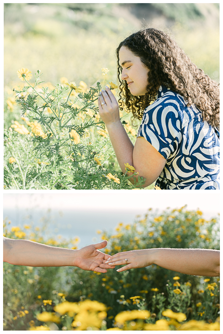 Palos Verdes Engagement Photos | Allison & Robin