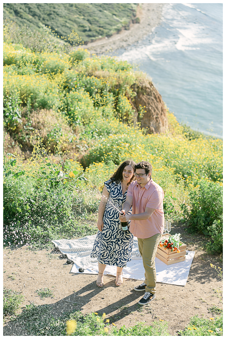 Palos Verdes Engagement Photos | Allison & Robin