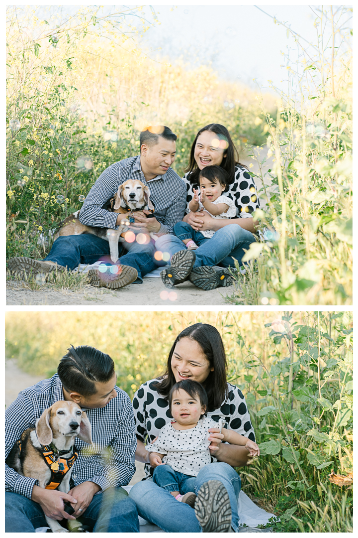 Palos Verdes First Birthday Family Photos | The Chan Family