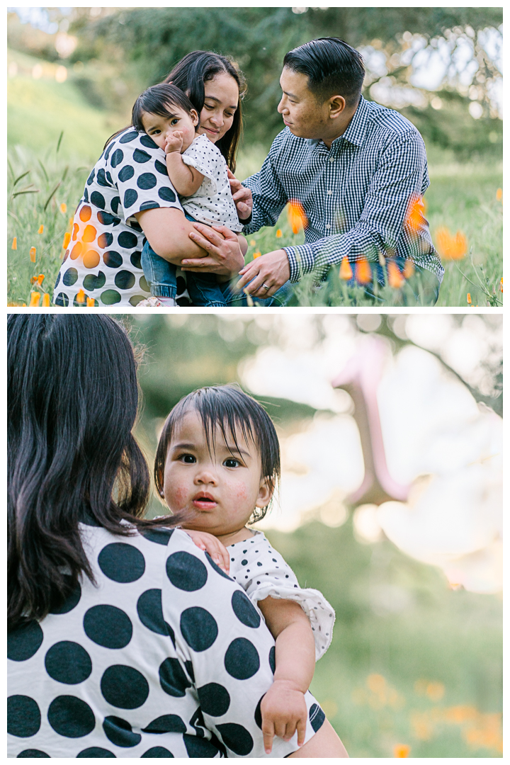 Palos Verdes First Birthday Family Photos | The Chan Family