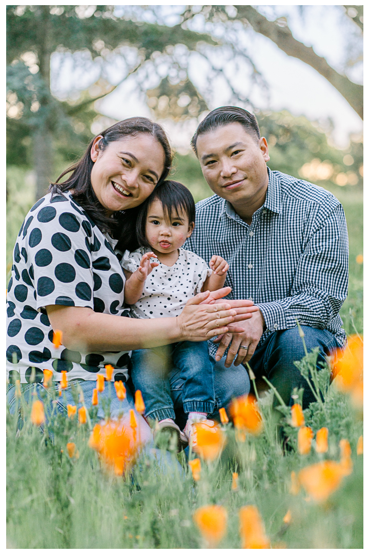 Palos Verdes First Birthday Family Photos | The Chan Family