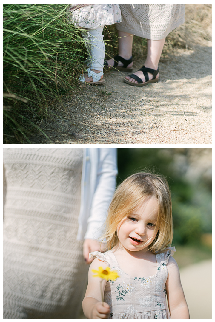 Terranea Resort Family Photos with a Toddler | The Guice Family