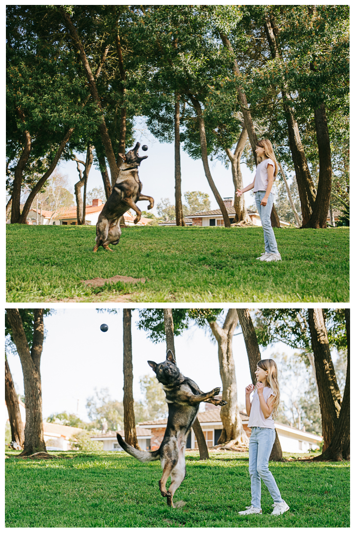 Lifestyle Branding Photoshoot | Palos Verdes K9