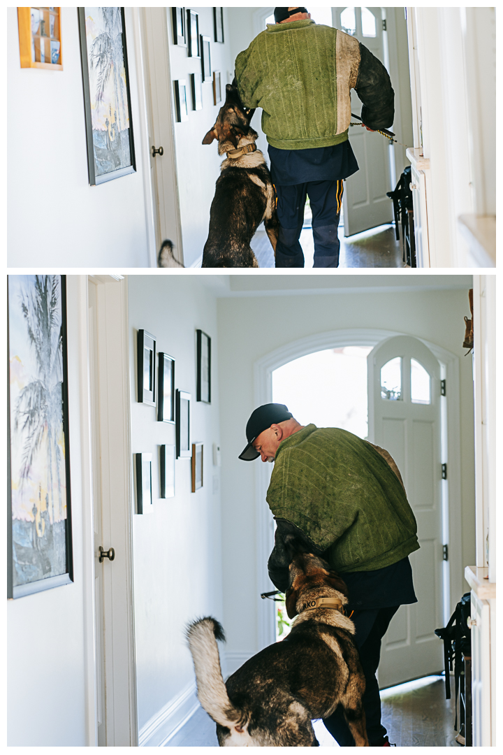 Lifestyle Branding Photoshoot | Palos Verdes K9