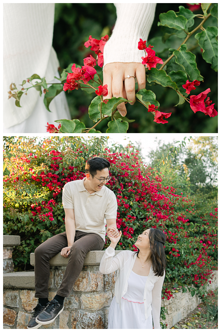 Hillcrest Park Engagement Photos Session in Fullerton, Orange County