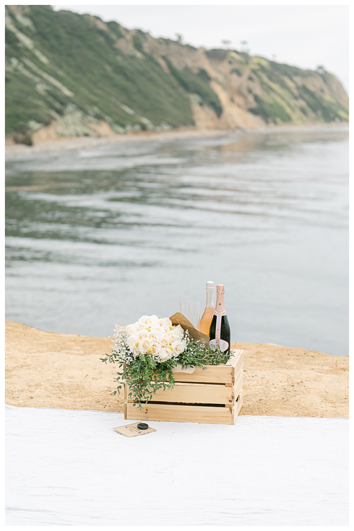 Bluff Cove Surprise Marriage Proposal in Palos Verdes | Marcy & Alex