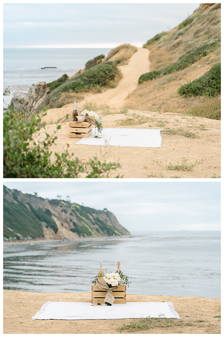 Bluff Cove Surprise Marriage Proposal in Palos Verdes | Marcy & Alex