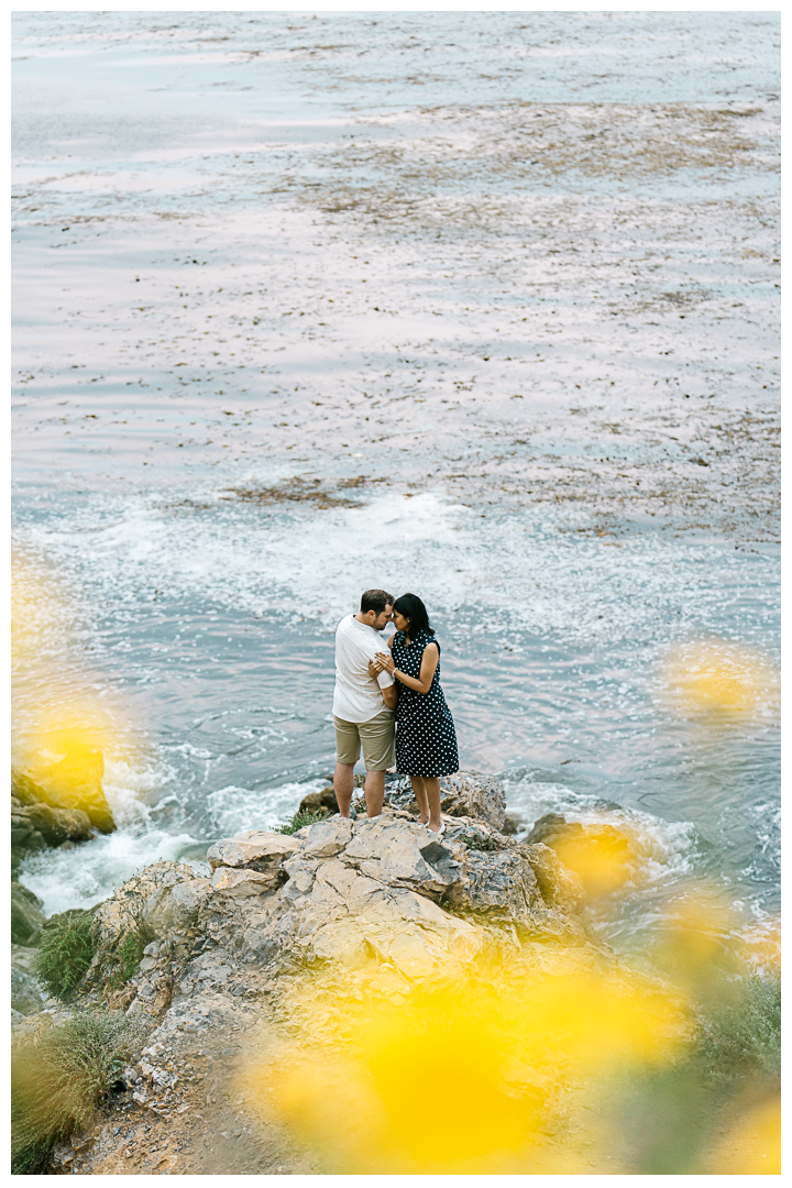 Bluff Cove Surprise Marriage Proposal in Palos Verdes | Marcy & Alex