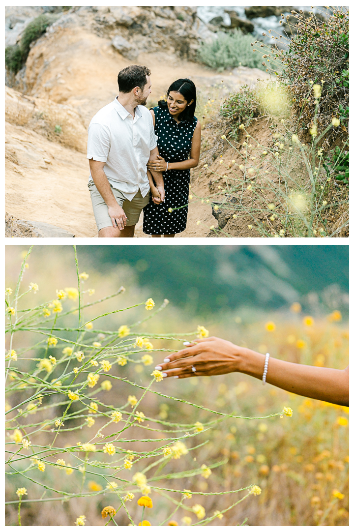 Bluff Cove Surprise Marriage Proposal in Palos Verdes | Marcy & Alex