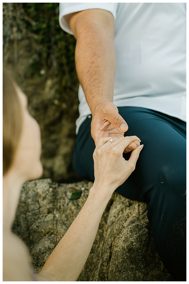 Malibu El Matador Beach Engagement Photos | Angie & Adili