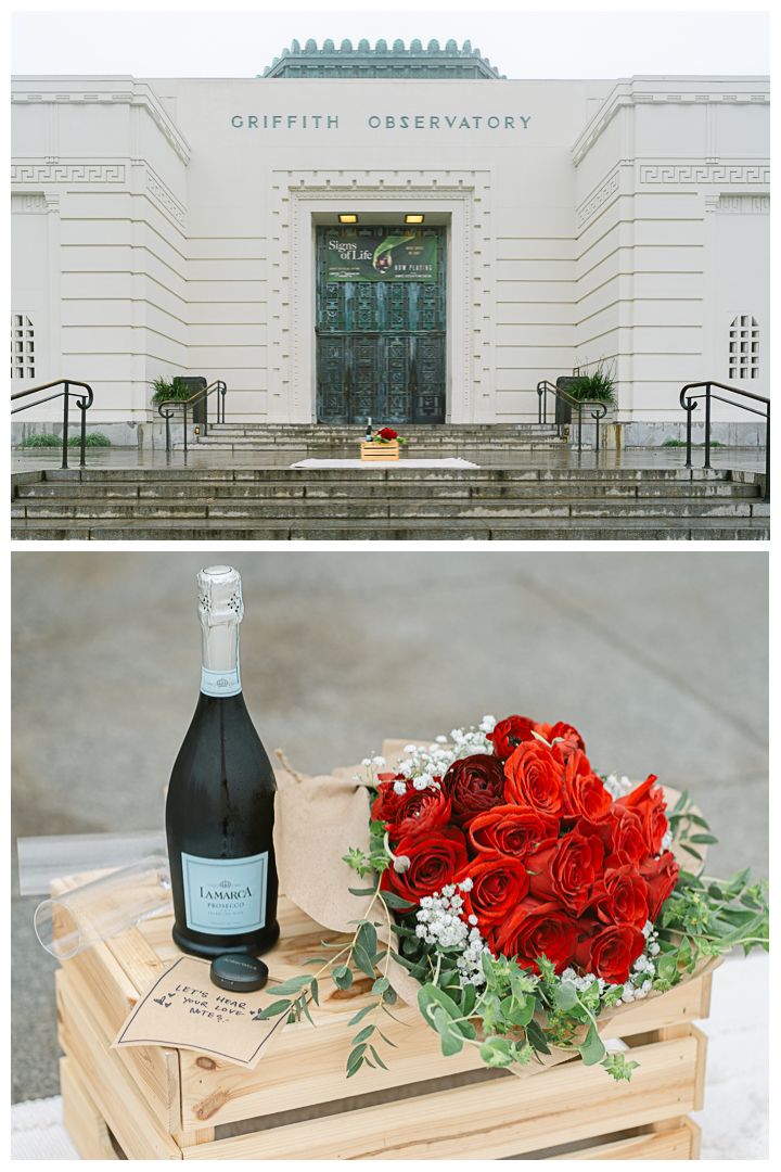 Griffith Observatory Proposal & Engagement Photos & Video | Kimberly & Kasey