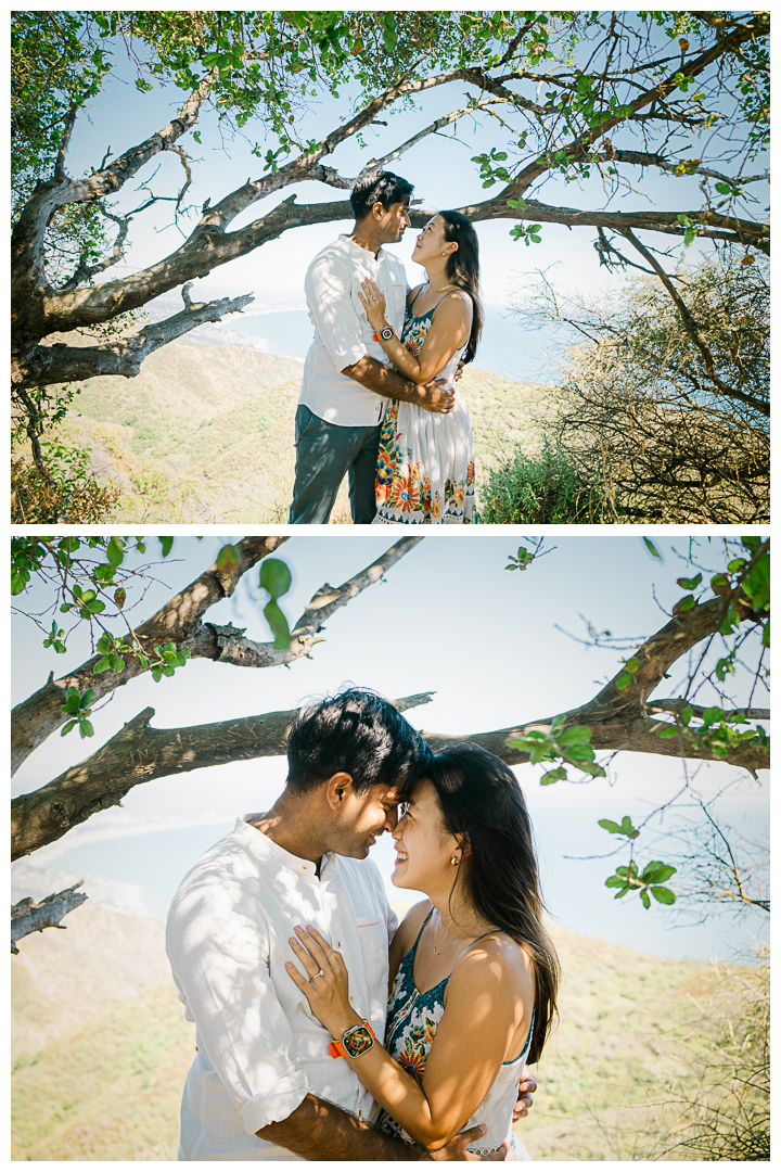 The Labyrinth at Tuna Canyon Park Surprise Proposal & Engagement | Grace & Sachith |