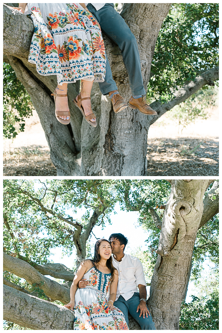 The Labyrinth at Tuna Canyon Park Surprise Proposal & Engagement | Grace & Sachith |