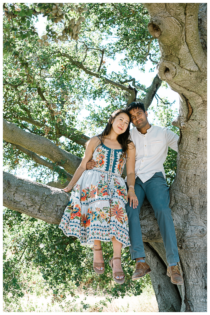 The Labyrinth at Tuna Canyon Park Surprise Proposal & Engagement | Grace & Sachith |