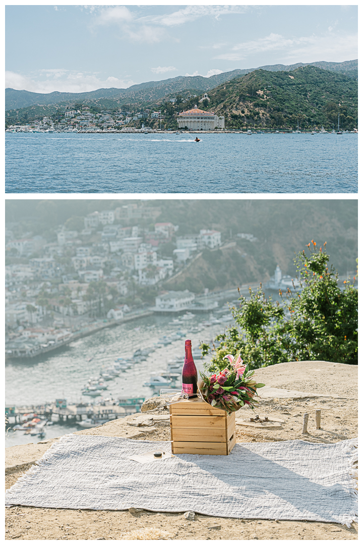 Avalon Catalina Island Surprise Proposal and Engagement | Israel & Bessy