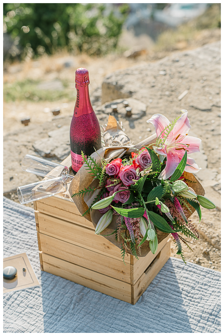 Avalon Catalina Island Surprise Proposal and Engagement | Israel & Bessy