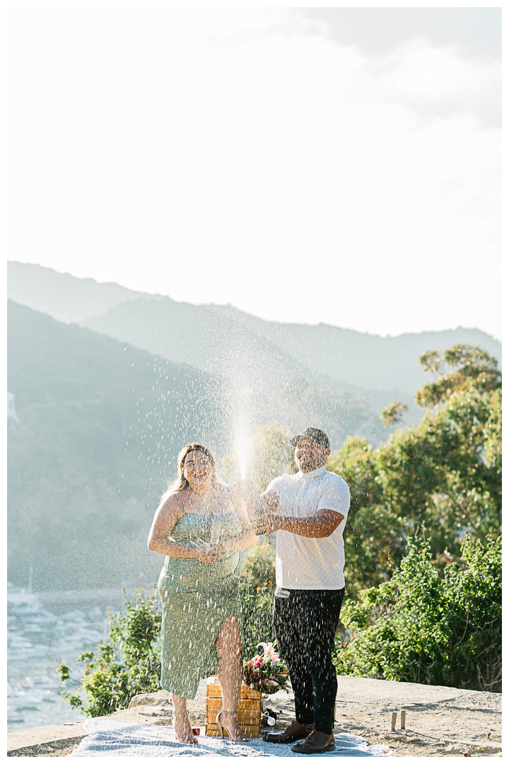 Avalon Catalina Island Surprise Proposal and Engagement | Israel & Bessy