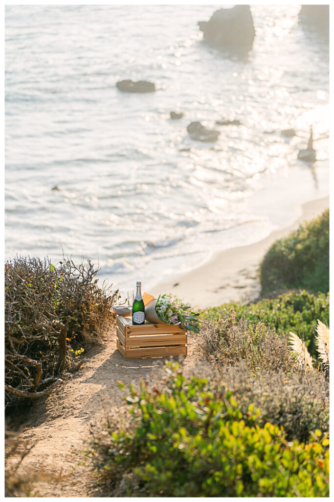 El Matador Beach Surprise Proposal and Engagement | Natalie & Anil