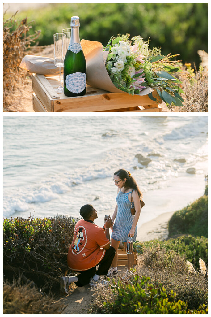 El Matador Beach Surprise Proposal and Engagement | Natalie & Anil