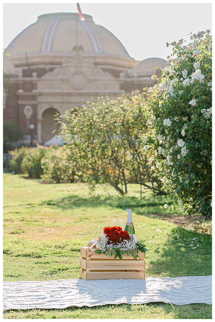 Exposition Park Rose Garden Surprise Proposal & Engagement | Muse & Bo