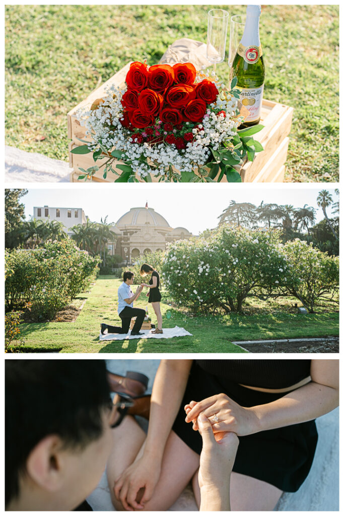 Exposition Park Rose Garden Surprise Proposal & Engagement | Muse & Bo