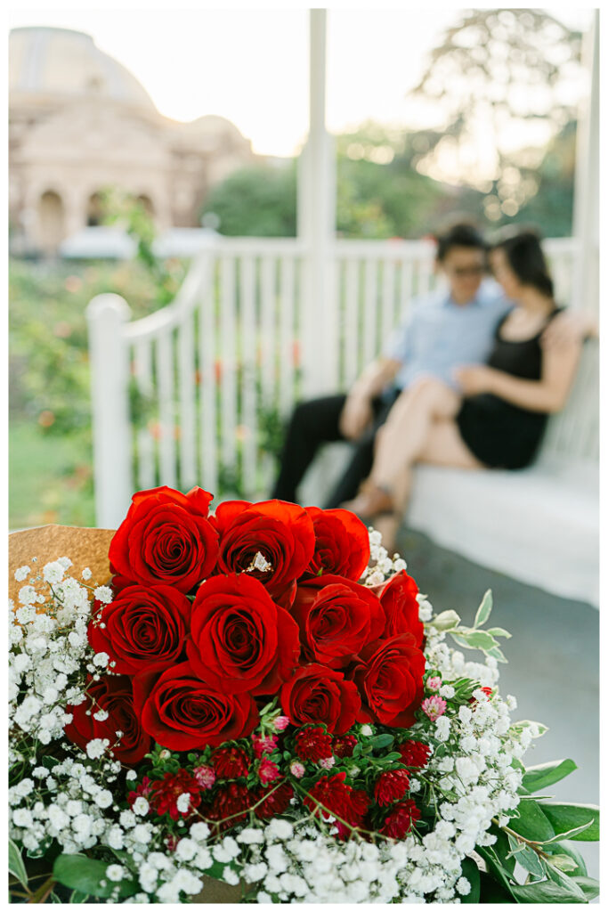 Exposition Park Rose Garden Surprise Proposal & Engagement | Muse & Bo