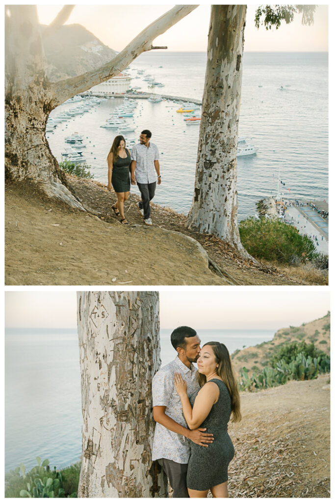 Catalina Island Surprise Proposal & Engagement | Stephanie & Peter