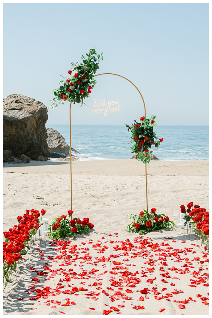 Point Dume Beach in Malibu Surprise Proposal & Engagement | Jocy & Erik