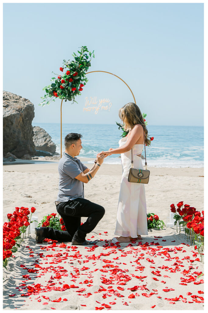 Point Dume Beach in Malibu Surprise Proposal & Engagement | Jocy & Erik