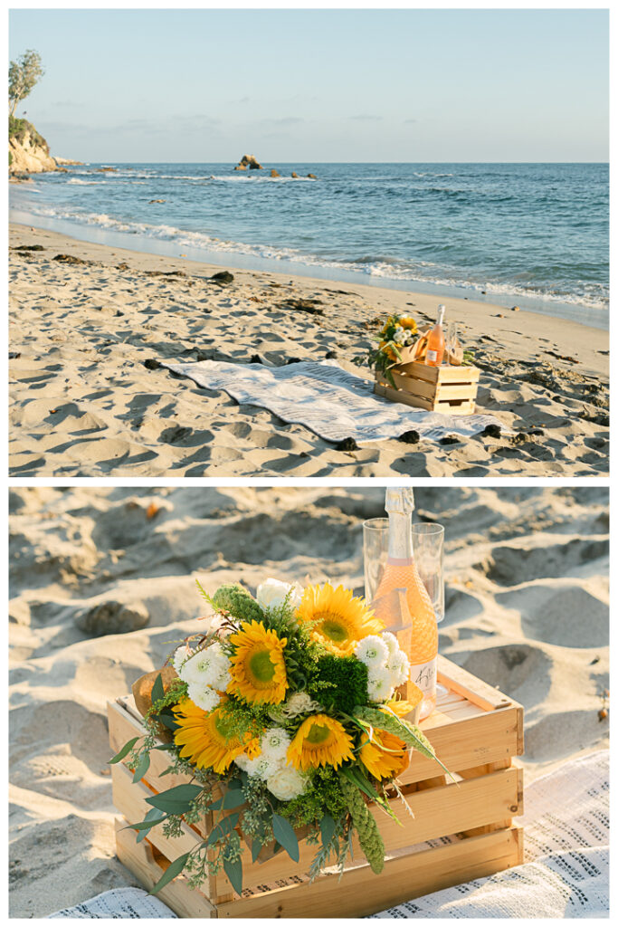 Little Corona Del Mar Beach Surprise Proposal and Engagement | Janki & Sagar